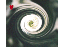Cinemino Animation Magic Blume 4