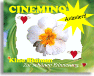 Cinemino Animation Kino Blume 1 eine ganz bezaubernde Geschenkidee