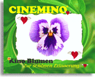 Cinemino Animation Kino Blume 3 eine ganz bezaubernde Geschenkidee