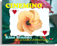 Cinemino Animation Kino Blume 13 eine ganz bezaubernde Geschenkidee