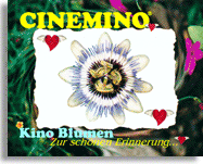 Cinemino Animation Kino Blume 14 eine ganz bezaubernde Geschenkidee