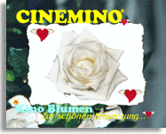 Cinemino Animation Kino Blume 17 eine ganz bezaubernde Geschenkidee