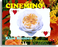 Cinemino Animation Kino Blume 18 eine ganz bezaubernde Geschenkidee